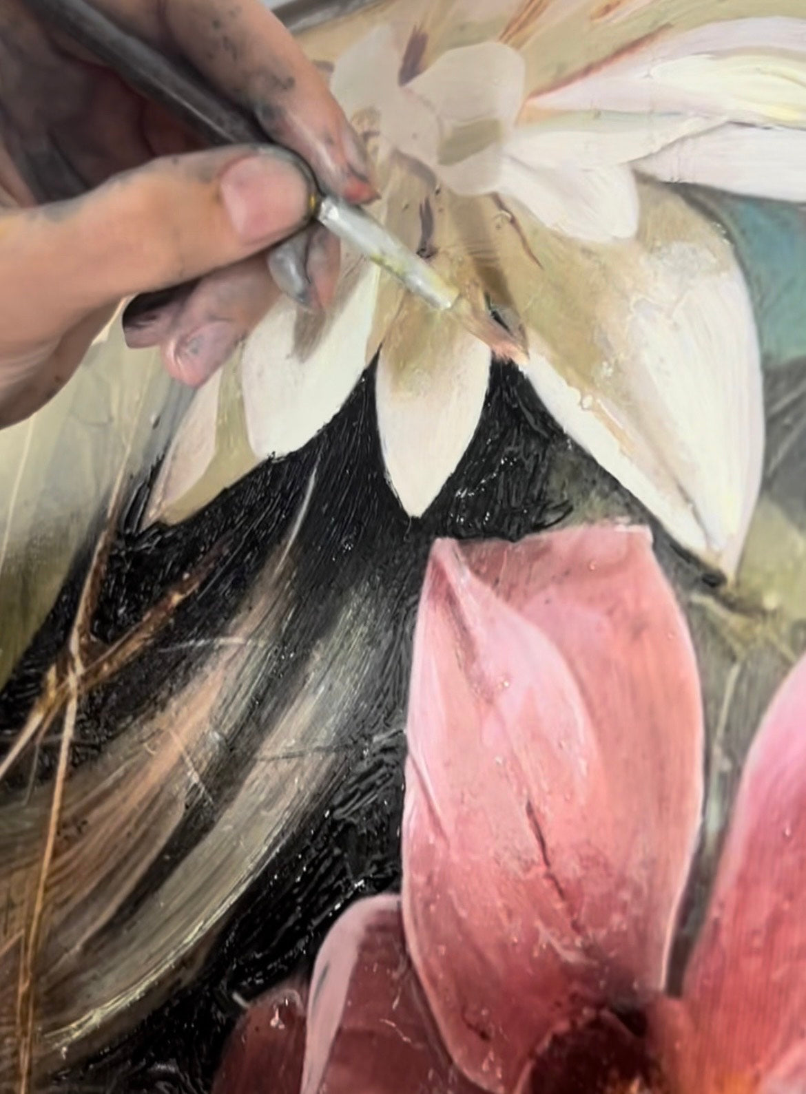 Where the Light Learns to Stay