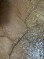 Where the Light Learns to Stay